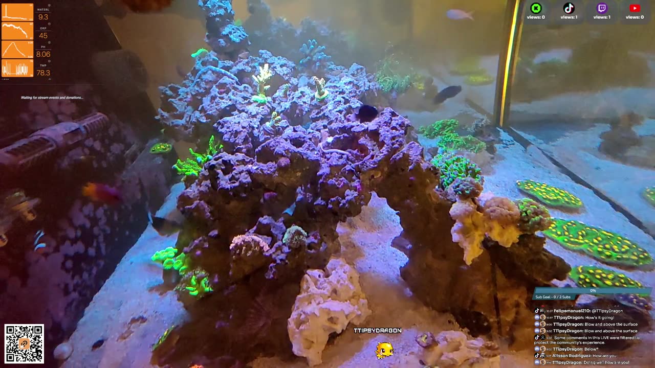 24/7 Real Live Reef Stream