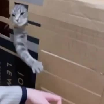 Stop knocking.. 😅