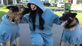 Ultimate Comfort for Your Dog: The Comfrt Hoodie