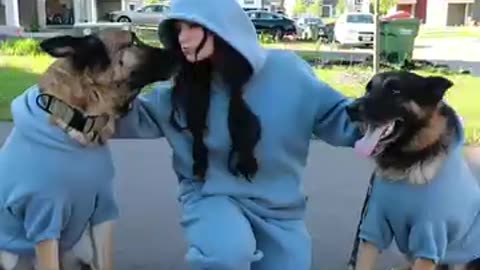 Ultimate Comfort for Your Dog: The Comfrt Hoodie