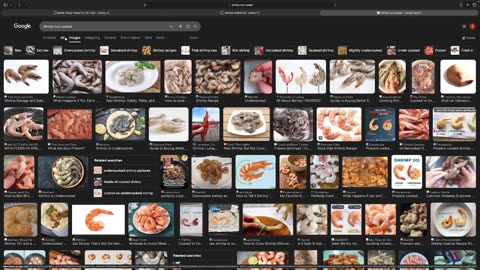 RECAI ISKENDER SUPER FOLLOSH SHOCK THERAPY