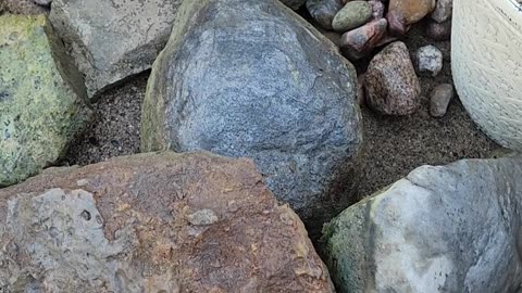 Cool rocks I scored at the Gravel Pit today