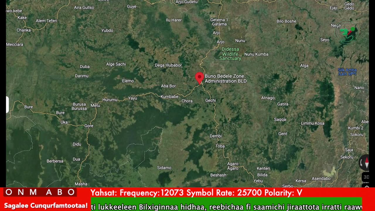 Oduu Ganama ONM-ABO Caamsaa 11-2025 itti dhiyaadhaa!