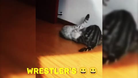 WRESTLERS 😀😀😀