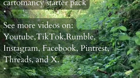 Explore Your Wealth | Path and Tarot Reading