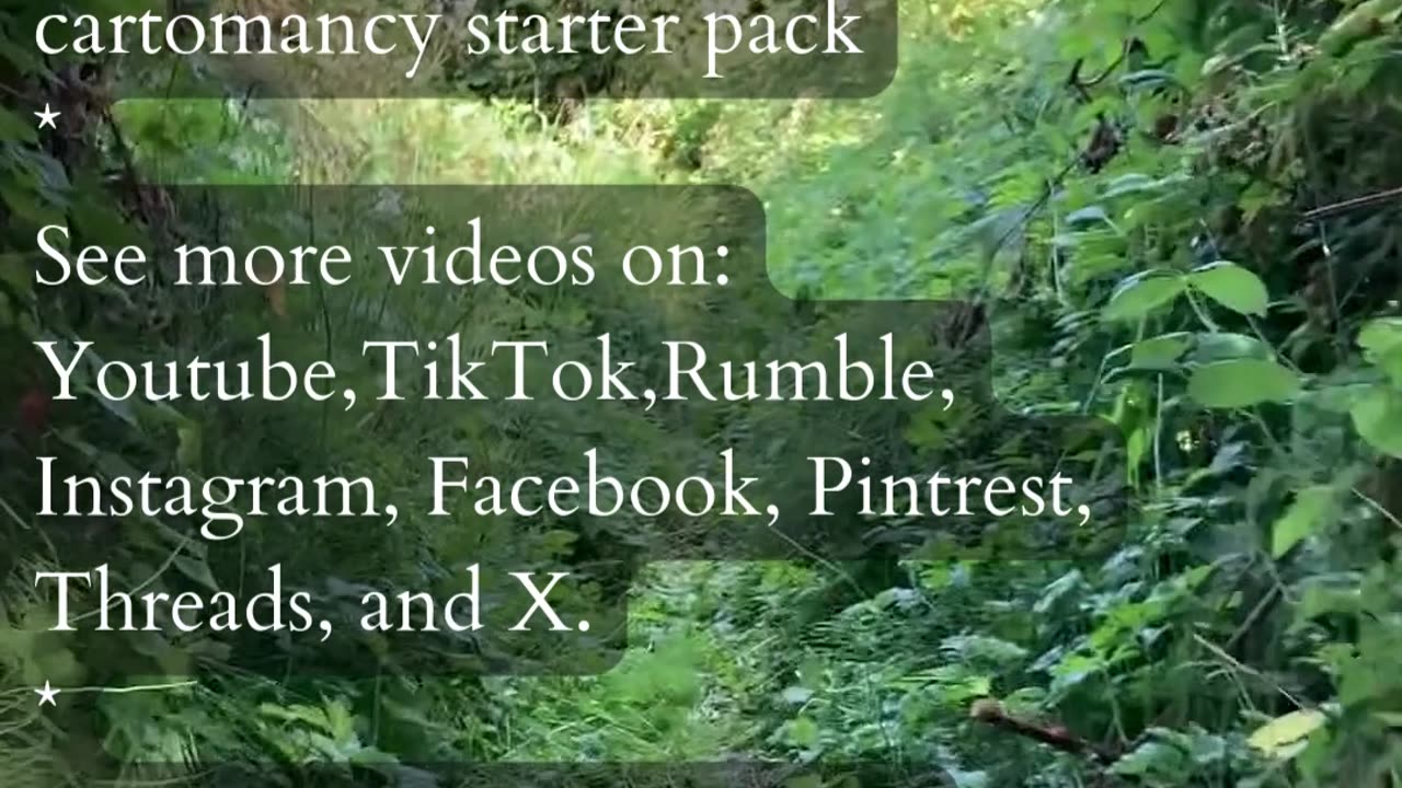 Explore Your Wealth | Path and Tarot Reading