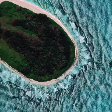 THIS NEEDS TO BE INVESTIGATED IMMEDIATELY‼️