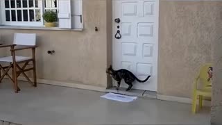 Uhhhh what are you opening?
