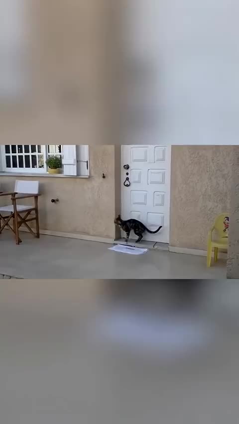 Uhhhh what are you opening?