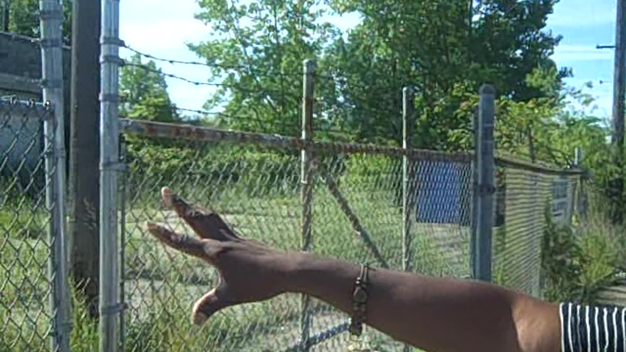 18000 sq foot building ON THE SHEA SHOW