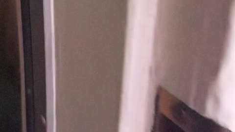 🔔 Una casa centenaria cuenta con un timbre retro y su histórico encanto