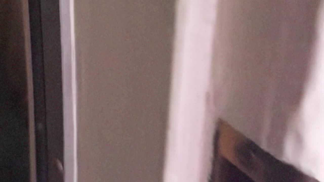 🔔 Una casa centenaria cuenta con un timbre retro y su histórico encanto