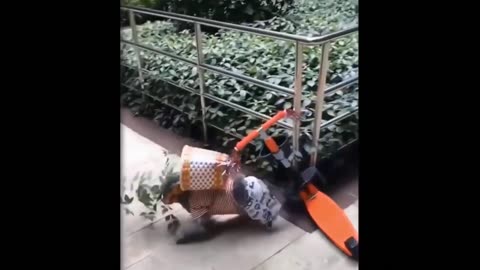 Funny