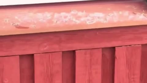 In Sweden some mosques have been attacked.