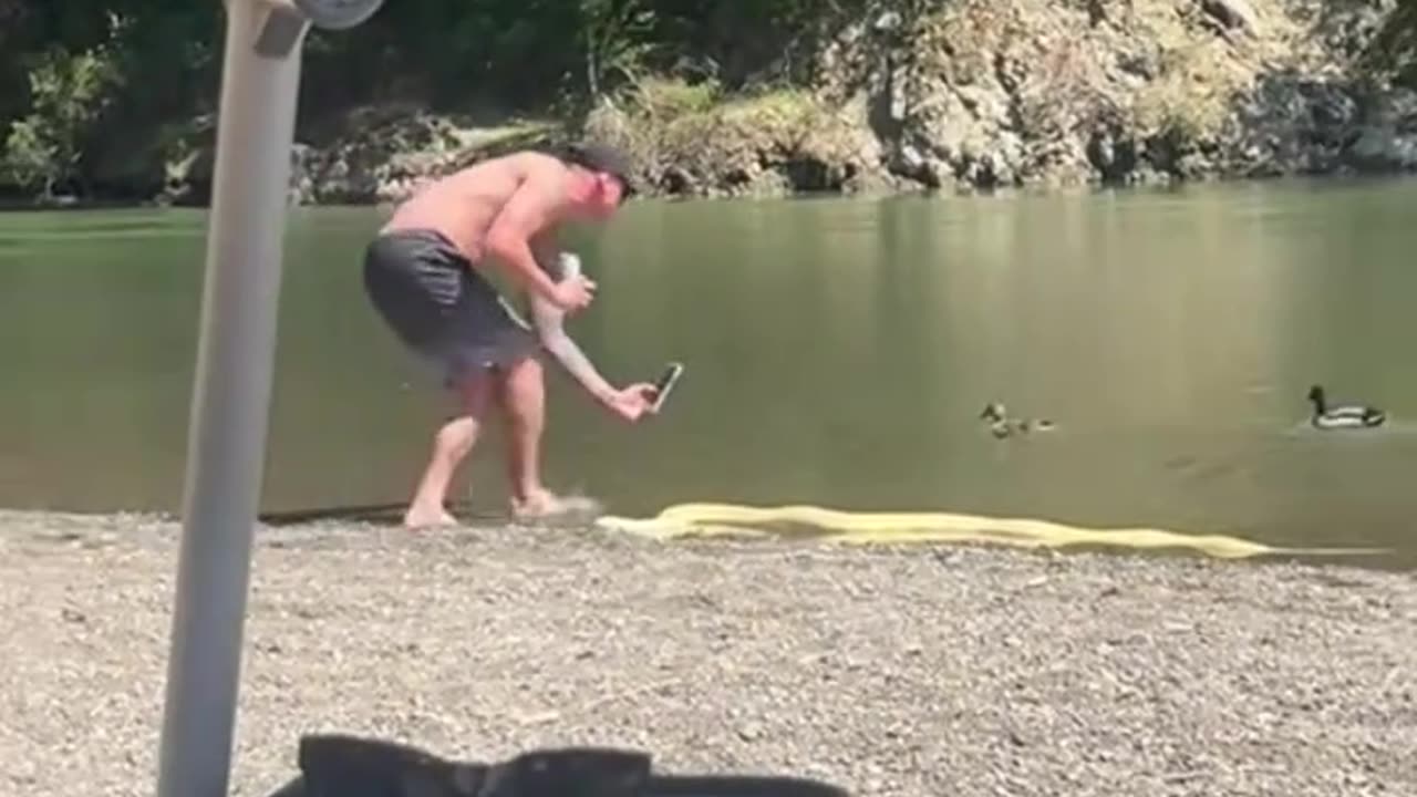 guy took his pet snake to the river