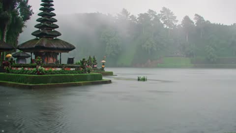 Bali Jungle Rain