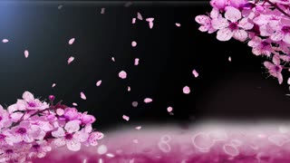 2 SONGS BY MY WIFE JOYCE