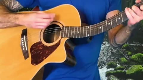 Acoustic Folk Song About Riding The Struggle Bus