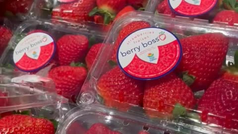Strawberry Season In Florida! Publix Has The BEST Looking Strawberries!
