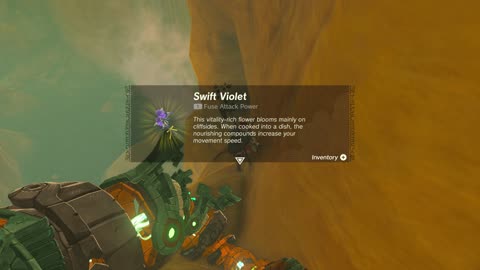 yiga clan exam