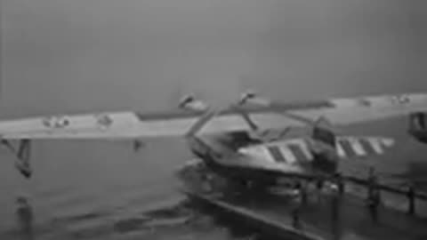 Wings of the Navy