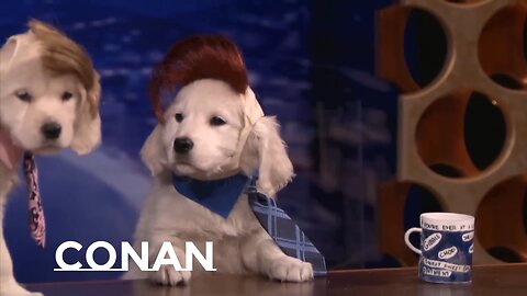 Puppy Conan and Wonder Woman Workout