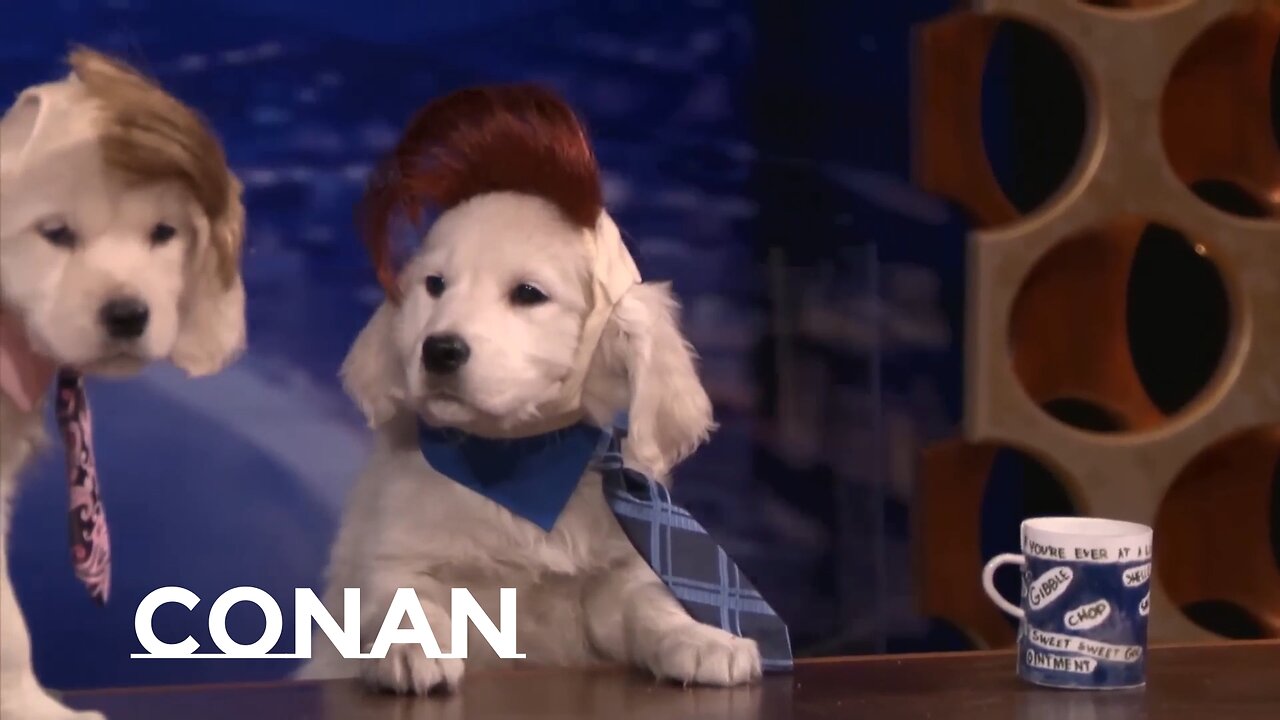 Puppy Conan and Wonder Woman Workout