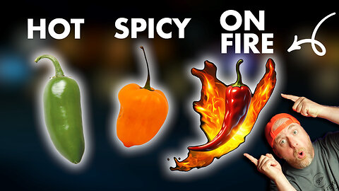 HOT? SPICY? ON FIRE!!