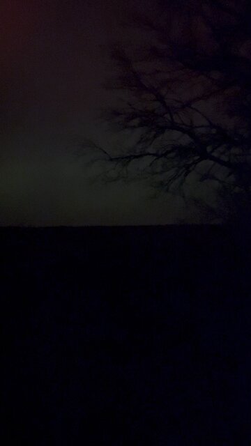 Northern Light ReSponse