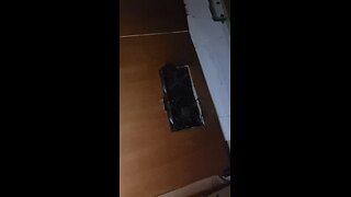 let the cows fart in peace (peace love and farting cows)