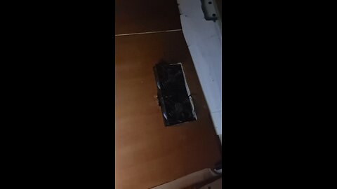 let the cows fart in peace (peace love and farting cows)