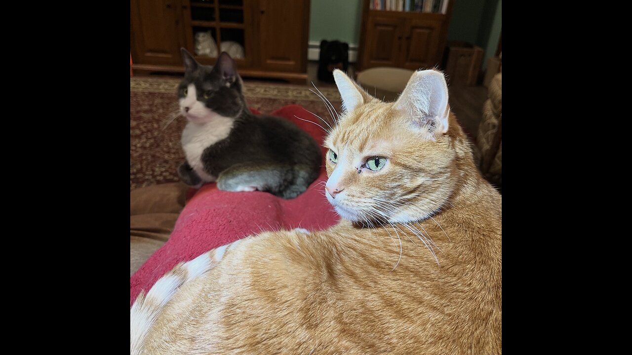 Episode 3000 CWSA 10/26/25