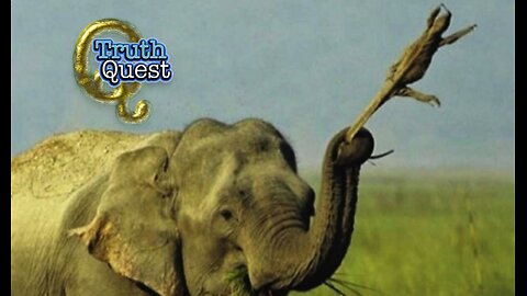 Truth Quest with Aaron Moriarity #615 "FULL DISCLOSURE"