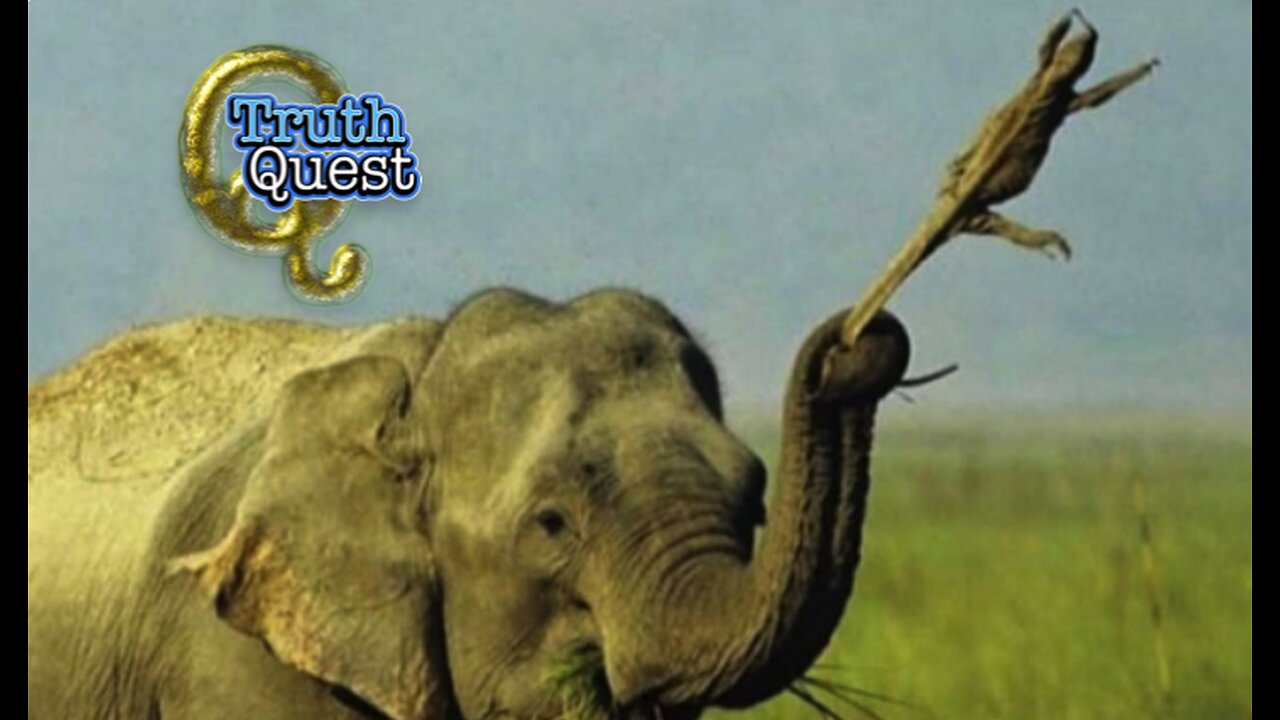 Truth Quest with Aaron Moriarity #615 "FULL DISCLOSURE"