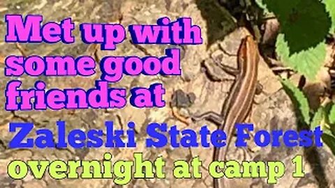 Zaleski State Forest - camp 1 overnight