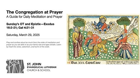 Sunday’s OT and Epistle—Exodus 16:2-21; Gal 4:21-31