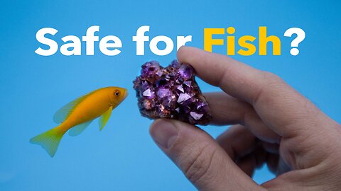 The TRUTH About Aquarium Rocks — Safe or Dangerous?