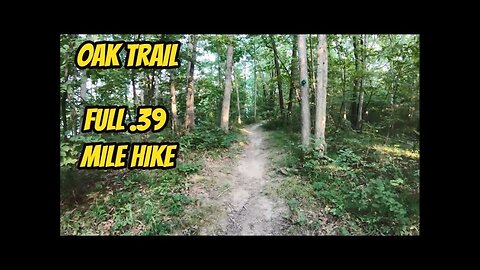 ASMR: Virtual Hike - Oak Trail (Thousand Hills State Park)