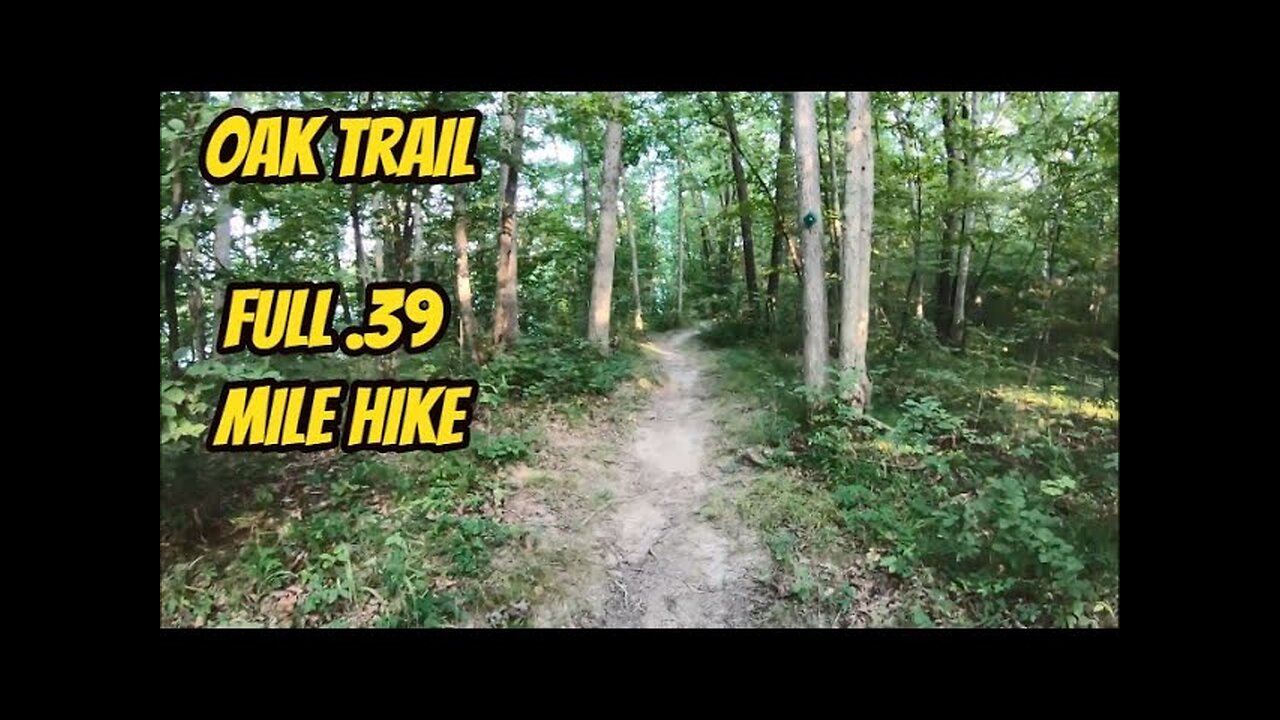 ASMR: Virtual Hike - Oak Trail (Thousand Hills State Park)