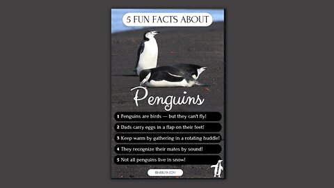 5 Fun Facts About Penguins 🐧 | Cute, Clever, and Built for Ice! #animallovers #wildlifefacts