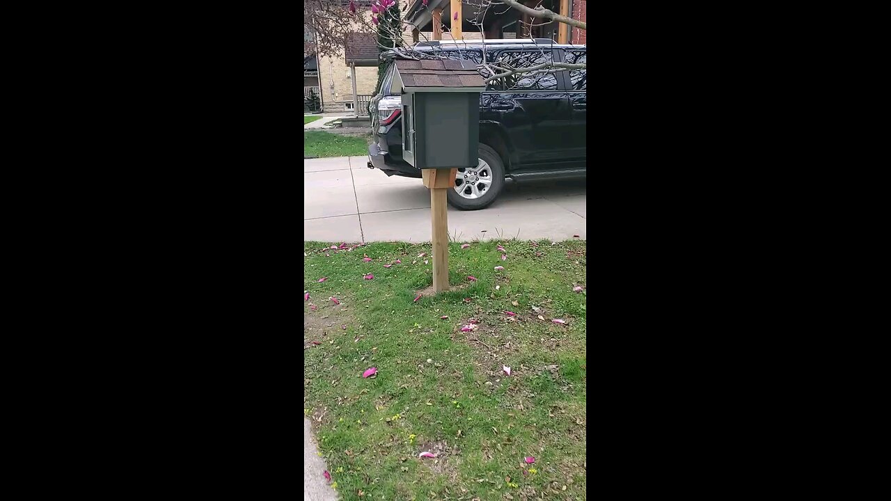 Coming On Back To This Mini Library