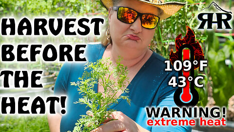 Homestead Garden Tour 🌱 Early Harvests & Heatwave Prep!