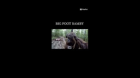 Big Foot Hits Bambi's Mom