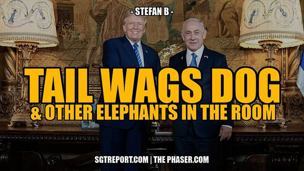 TAIL WAGS DOG & OTHER ELEPHANTS IN THE ROOM -- Stefan B