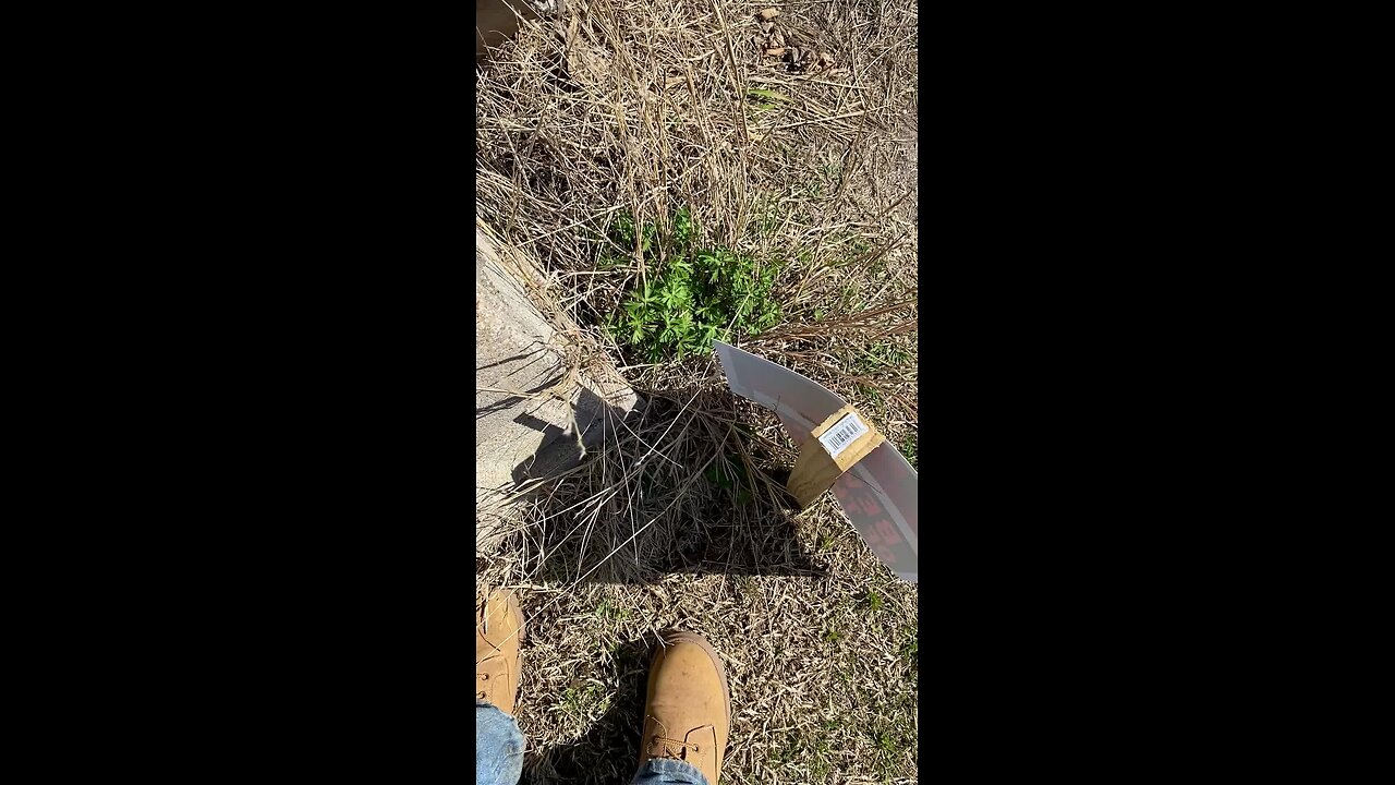 Good morning everybody