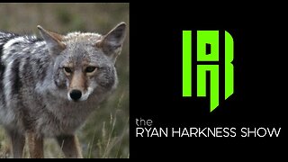 Episode #115 (Pt 2): Coyote Ugly | The Ryan Harkness Show