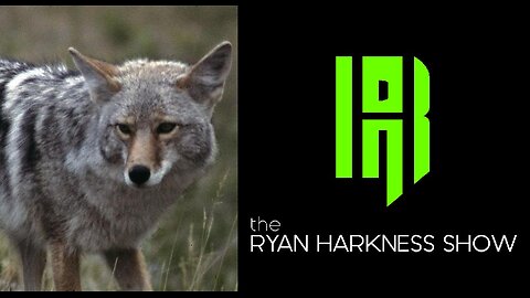 Episode #115 (Pt 2): Coyote Ugly | The Ryan Harkness Show