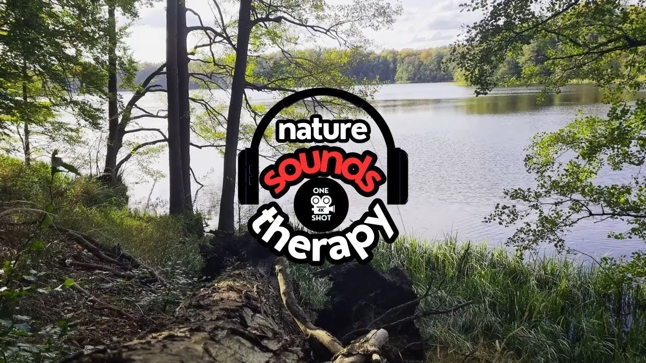 Birdsong by the Quiet Lake; Perfect Relaxation 4K