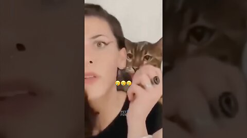 Animals Funny Compilation #funnyanimals #animals #pets #shorts