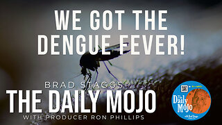 We Got The Dengue Fever! - The Daily MoJo 032025